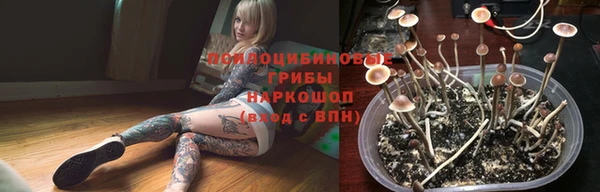 2c-b Бородино