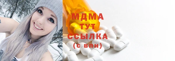 2c-b Бородино