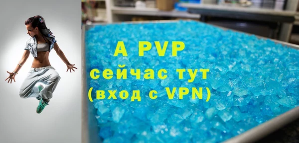 2c-b Бородино