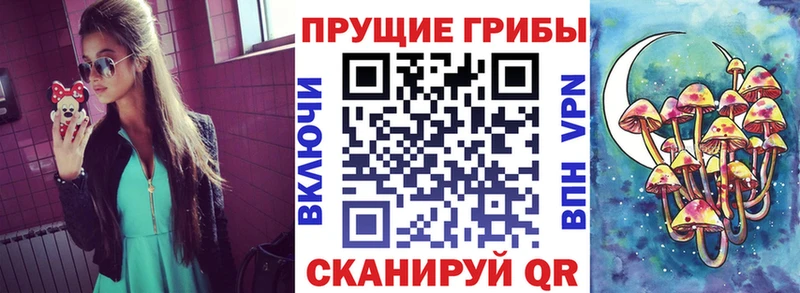 Псилоцибиновые грибы Psilocybe купить цена Медынь